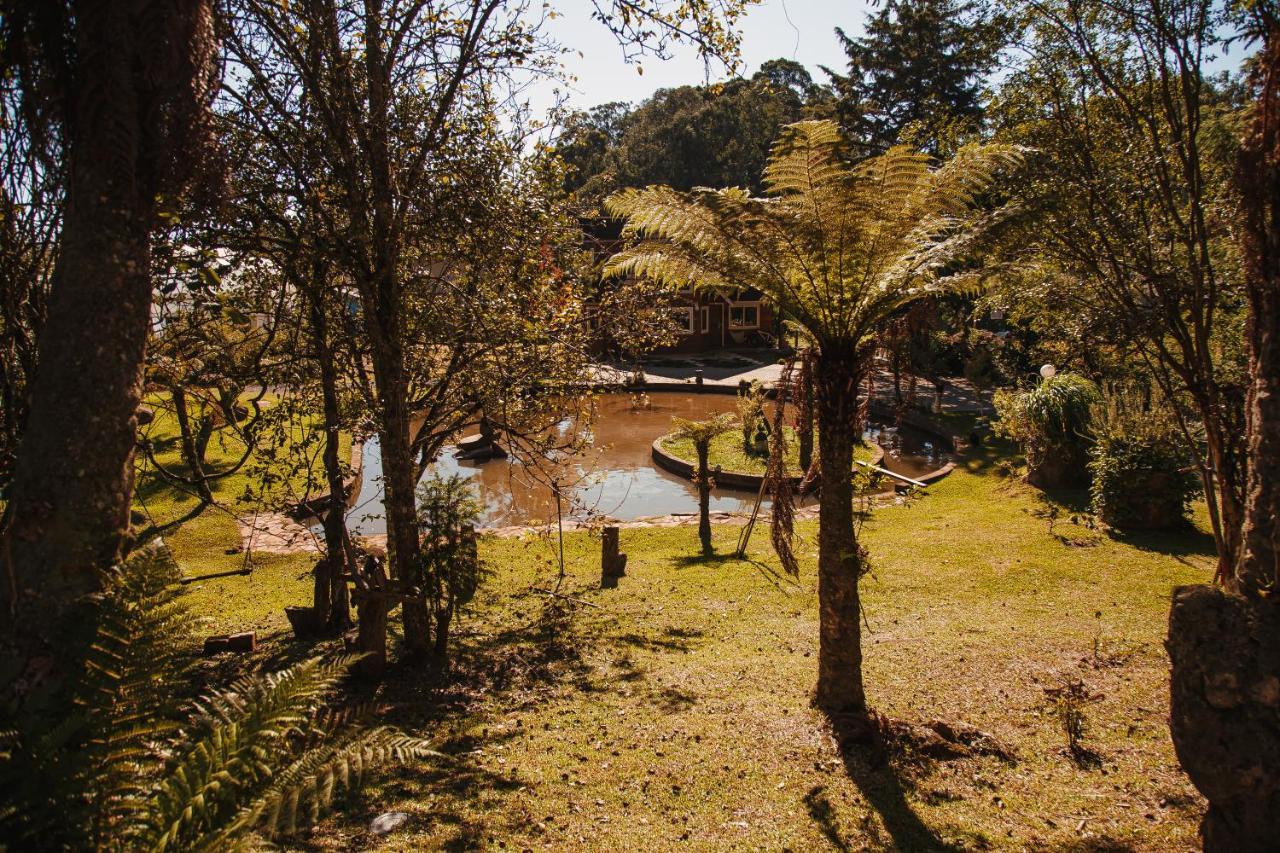 BusHome Gramado uma casa sobre rodas Hospedagem Ônibus Exterior foto